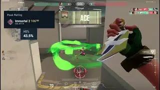 Immortal Aimer 9
