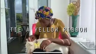 Tie A Yellow Ribbon - The Dot Collective