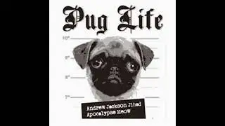 AJJ + Apocalypse Meow Split - Pug Life - Growing Up