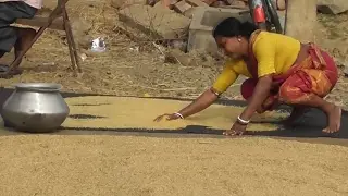 Rural Women Working