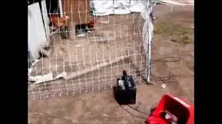 Electric Poultry Netting