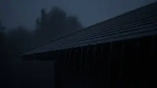 Rain Sound in Forest  Heavy Rain on Window for Fall Asleep Quickly  Soothing Rainy Day Vib