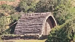 Ooty Wildlife Safari | Hindustani Spot &bull; Toda Marriage &bull; Tea Gardens &bull; Jungle Falls &bull; Pykara Dam