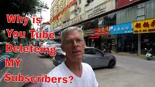 Why is You Tube deleting my Subscribers?