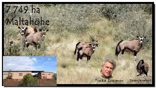 7 749 ha. Maltahöhe, Namibië. Wildplaas te koop. Game farm for sale. Slide show. Skyfievertoning.