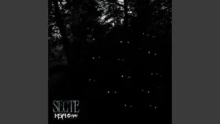 Secte