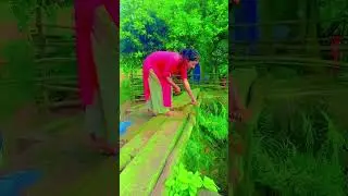 पानी कितना निचे हैं #villagerlifestyle #villagelifeinindia #villagerlifestylefreestyle etstyle