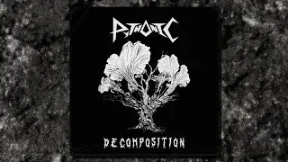 Pythonic - Decomposition (EP)