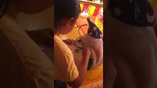 WIGGLE WIRES