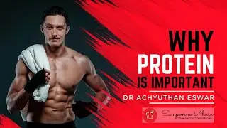 Why Protein is Important