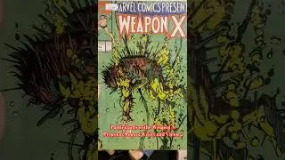 Is WeaponX an Undervalued Series? #otakucollection