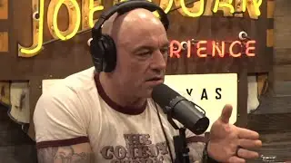 Joe Rogan On Israel And Palestine