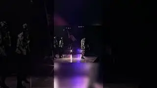 MICHAEL JACKSON SHE DRIVES ME WILD 1996