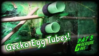 How I make Gecko Egg Laying Tubes, Honeycomb enclosure update