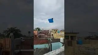 Wo Kite Catching 😱🪁 kite looting #kitecatching #kite #shortsfeed #shorts