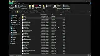 how to get debug mode on pokemon reborn/rejuvenation