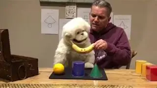 eduFox Australia * mike monkey puppet magic 02 * time4shapes