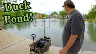 Fishing In City Duck Pond With BIG Red Worms!!!