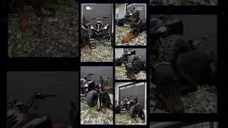 Color Match Game: Raptor 700 X Doberman