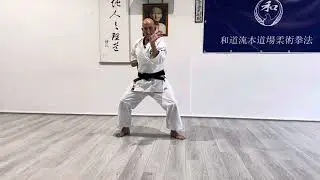 Wadoryuhondojo - Kata:Wanshu