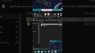 SentinelOne vs DarkSide Ransomware