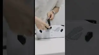Best Case for ROG ALLY