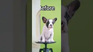 Green Screen Remove#aftereffects #greenscreenvideo