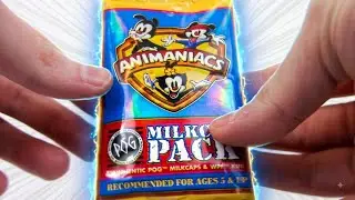 Animaniacs POGS 1995 opening | Odd Pod