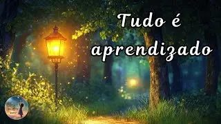 Tudo é aprendizado | Mensagem de amor, paz e fraternidade.