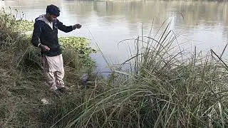 Fishing at Canal /River Fishing / Canal Punjab/ Punjpulla/ 5Pulla/ Jaranwala/ Buchiana/ Fishing