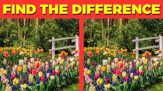 Garden & Insects Brain Trainer! - Tulips & Roses Find the Difference Quiz (Spot the Difference)