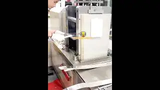 SanSongMelt- Silver Banknotes Making Machine Mint Bars Coins Machine Logo Stamping Machine