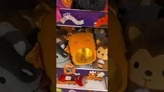 SQUISHMALLOWS HALLOWEEN EDITION 🎃 #squishmallows #halloween #plushies