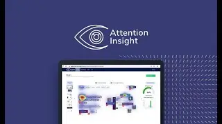 Attention Insight Review and Tutorial: AppSumo Lifetime Deal