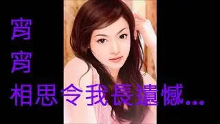 NO:78 盼知音- 麗莎(粵語) (娛己娛人卡拉OK) - 特大字幕