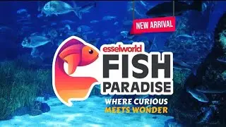 Where the ocean of curiosity meets the waves of fun - EsselWorld Fish Paradise! 🌊