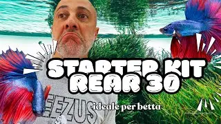 Allestimento kubic rear 30, STARTER KIT per BETTA 