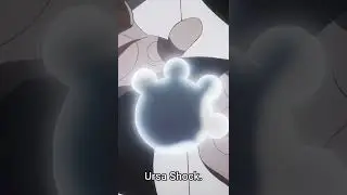 Kuma ursa shock power #onepiece