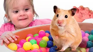 The Boo Boo Animals Songs - Nursery rhymes and Kids songs