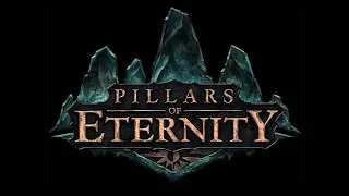 Blind LP │ Pillars of Eternity │ 49