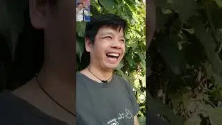 the funniest clips video... #youtubeshorts #funny #humorvibes #comedy