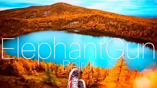 ✨Beirut&bull;Elephant Gun [1 Hour Extended] | Chill Vibes 🎼 ✨