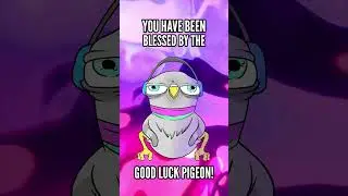 Blessed Pigeon! #animation #indieanimation #animationmeme #cartoon #adultswim #toonsquid #digitalart