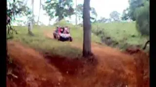 Voando alto 020610
