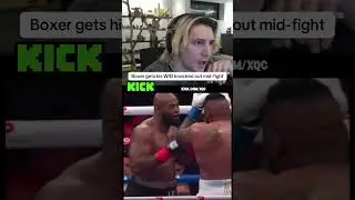 Boxer gets his WIG knocked out mid-fight 💀 #xqc #boxing #funny #viral #meme