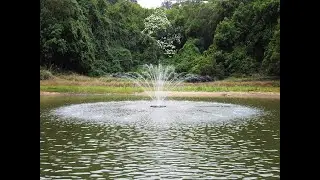 How to Clean & Maintain Your HQUA FS01/FS02 Fountain Pump