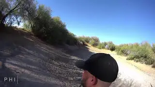 Quick Quail at Powers Butte - Hunt Az 2017