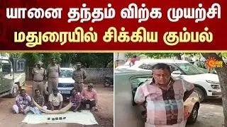 Attempt to sell elephant ivory | Gang caught  | Madurai | FIR | Crime | Sun News