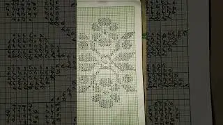 full saneki graph//ফুলৰ চানেকি