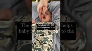 The rooting reflex #newmom #babyvideos